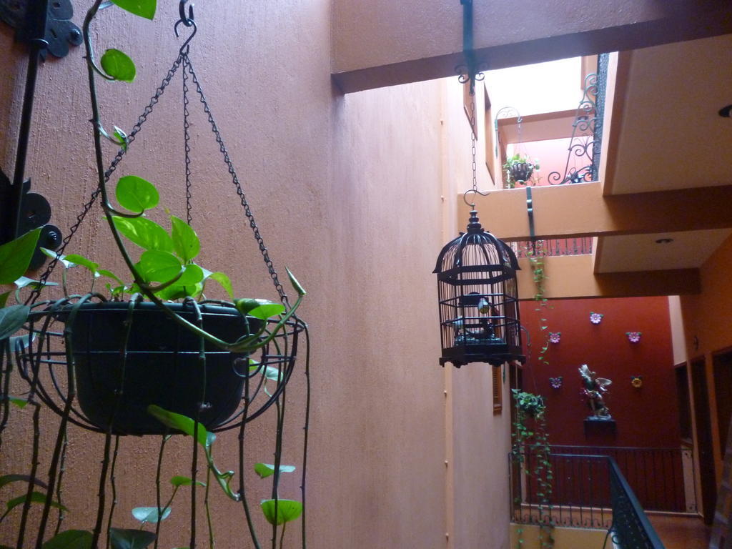 Hotel Boutique Parador San Miguel Oaxaca Εξωτερικό φωτογραφία